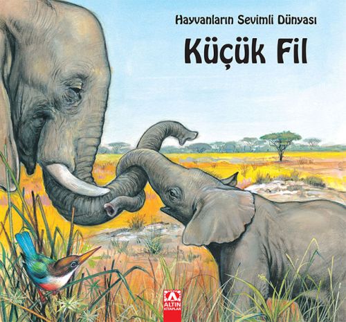 KÜÇÜK FİL