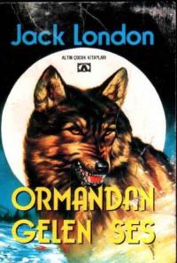 ORMANDAN GELEN SES