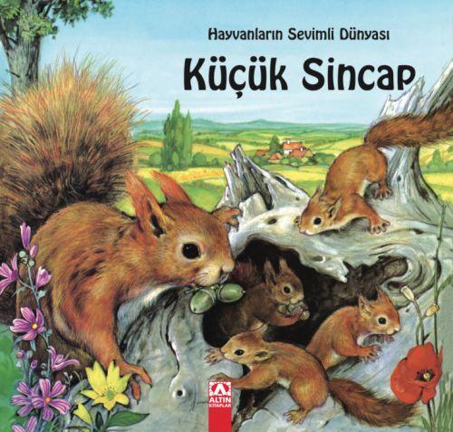 KÜÇÜK SİNCAP