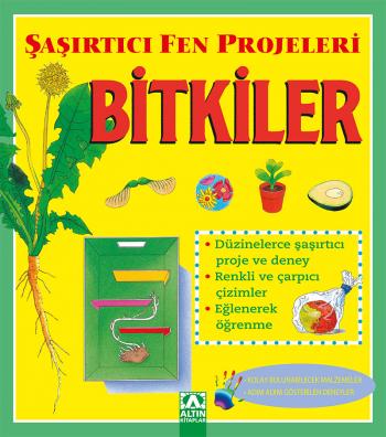 BİTKİLER